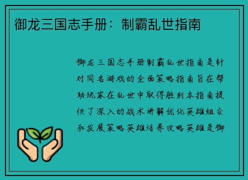 御龙三国志手册：制霸乱世指南